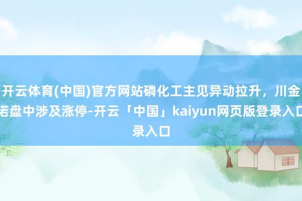开云体育(中国)官方网站磷化工主见异动拉升，川金诺盘中涉及涨停-开云「中国」kaiyun网页版登录入口