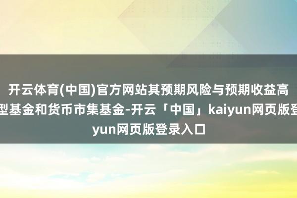 开云体育(中国)官方网站其预期风险与预期收益高于债券型基金和货币市集基金-开云「中国」kaiyun网页版登录入口