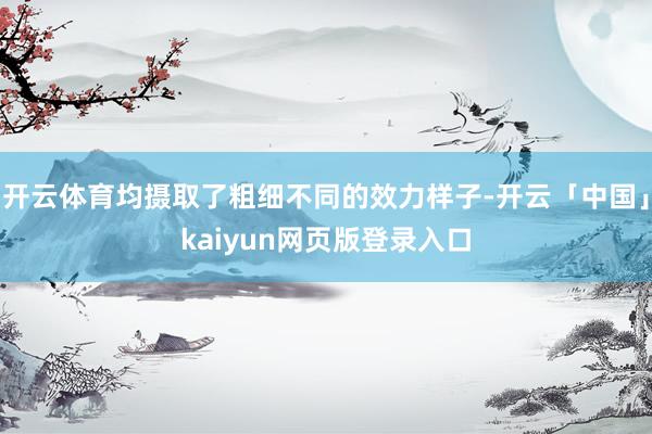 开云体育均摄取了粗细不同的效力样子-开云「中国」kaiyun网页版登录入口