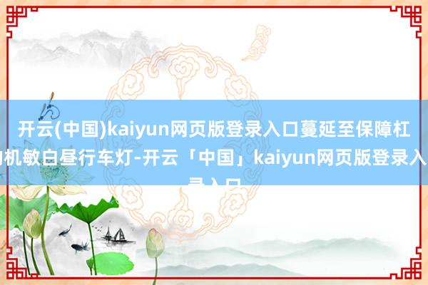开云(中国)kaiyun网页版登录入口蔓延至保障杠的机敏白昼行车灯-开云「中国」kaiyun网页版登录入口
