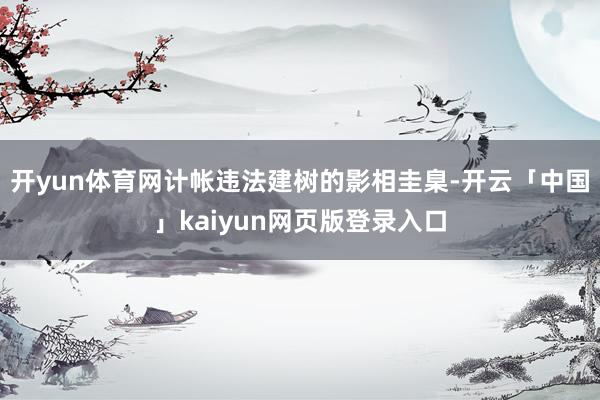 开yun体育网计帐违法建树的影相圭臬-开云「中国」kaiyun网页版登录入口