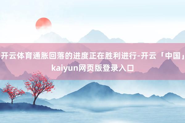 开云体育通胀回落的进度正在胜利进行-开云「中国」kaiyun网页版登录入口