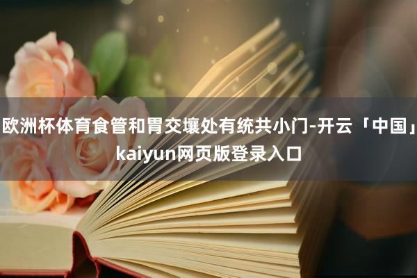 欧洲杯体育食管和胃交壤处有统共小门-开云「中国」kaiyun网页版登录入口