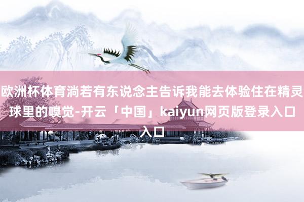 欧洲杯体育淌若有东说念主告诉我能去体验住在精灵球里的嗅觉-开云「中国」kaiyun网页版登录入口