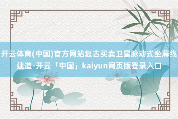 开云体育(中国)官方网站复古买卖卫星脉动式坐蓐线建造-开云「中国」kaiyun网页版登录入口